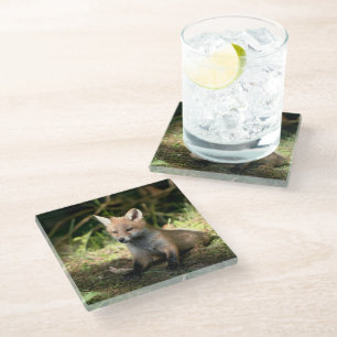 Little Cub Red Fox Glass Coaster