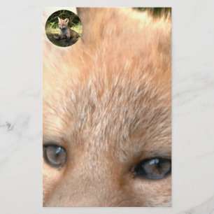 Little Cub Red Fox Stationery