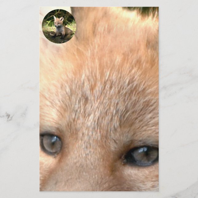 Little Cub Red Fox Stationery (Front)