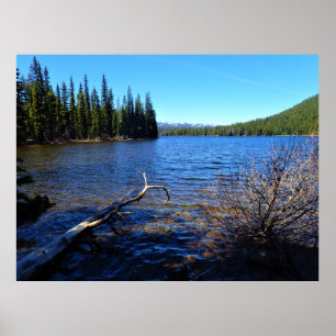 Little Cultus Lake, OR Poster