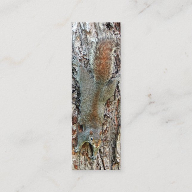 Little Cute Squirrel Mini Business Card (Front)