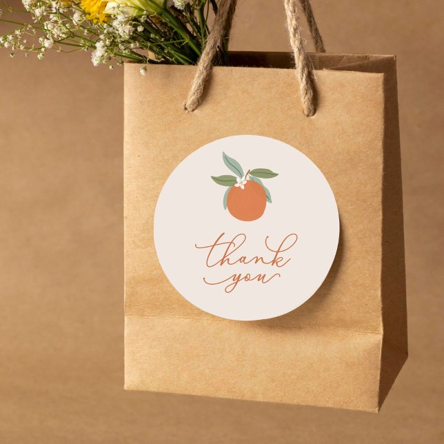 Little Cutie Citrus Oranges Thank You Classic Round Sticker (citrus oranges thank you sticker)