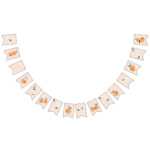 Little Cutie is on the Way Citrus Baby Shower Bunting