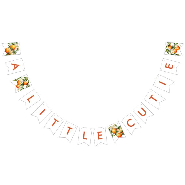 Little Cutie Orange Clementine Baby Shower Bunting (All)