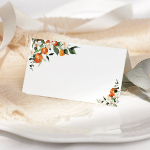 Little cutie oranges place cards