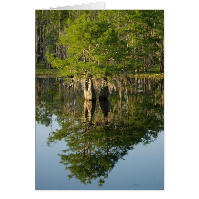 Little Cypress 1 (Front)