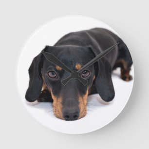 Little Dachshund Round Clock