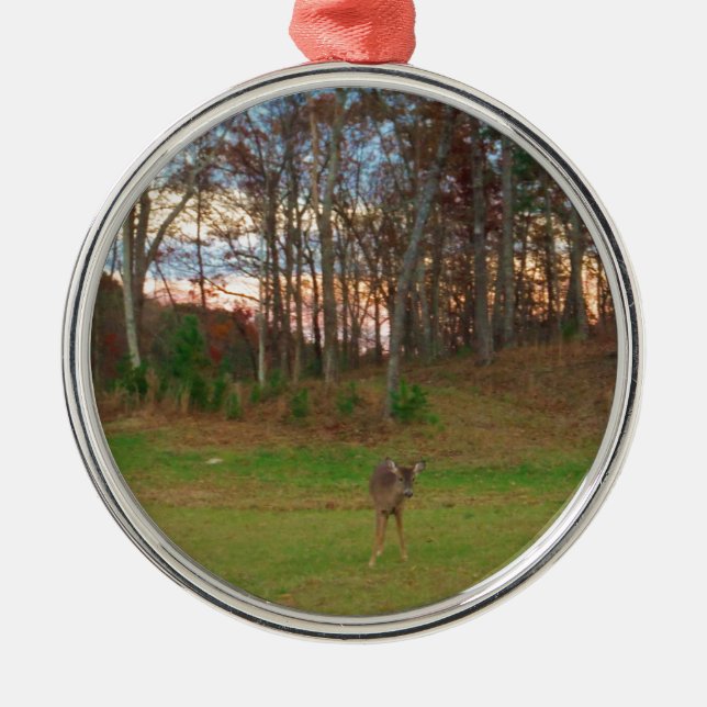 Little Deer &a Pink Sunset Metal Ornament (Front)