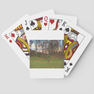 Little Deer &a Pink Sunset Playing Cards