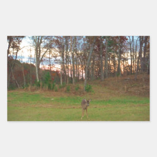 Little Deer &a Pink Sunset Rectangular Sticker
