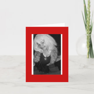 Little Diva Card