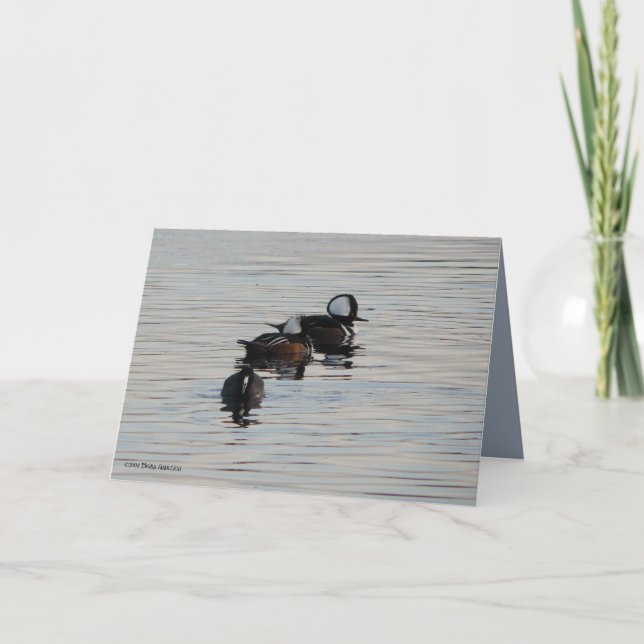 Little Divers Card (Front)