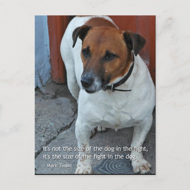 Little Dog Big Heart Postcard (Front)