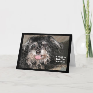 "Little Dog Joey: 'I want to lick you all over'" Card