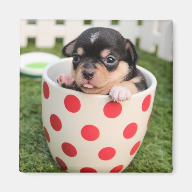 Little doggy in the cup magnet (Front)
