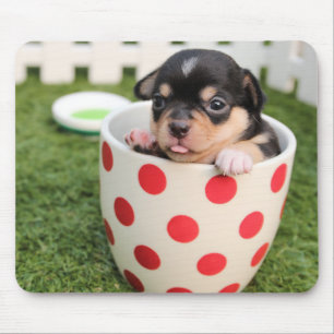 Little doggy in the cup mouse pad