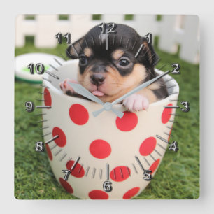 Little doggy in the cup square wall clock