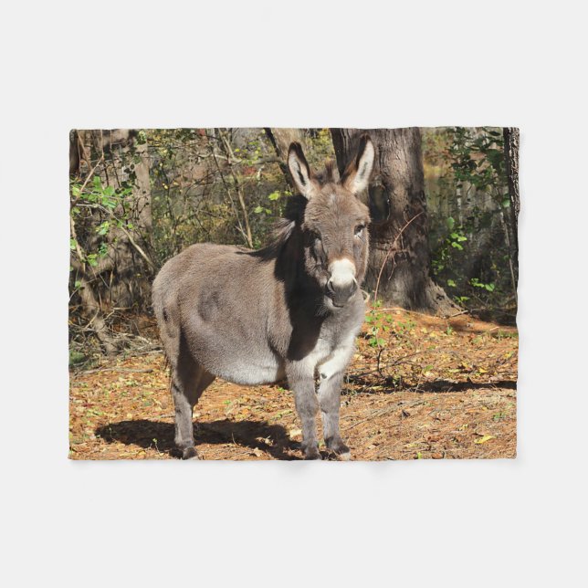 Little Donkey Fleece Blanket (Front (Horizontal))