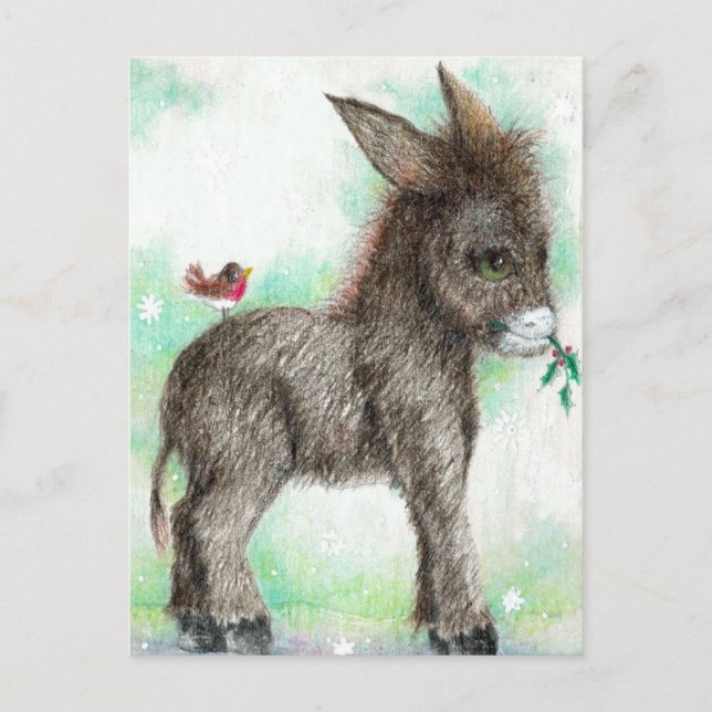 Little Donkey wonk and birdy friend Robin Postcard (Front)