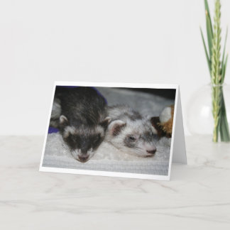 Little Dooks Sleepers Greetings Cards