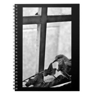 Little Dove Notebook