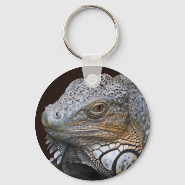 Little Dragon Keyring (Front)