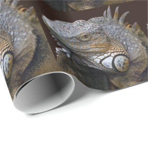 Little Dragon Wrapping Paper