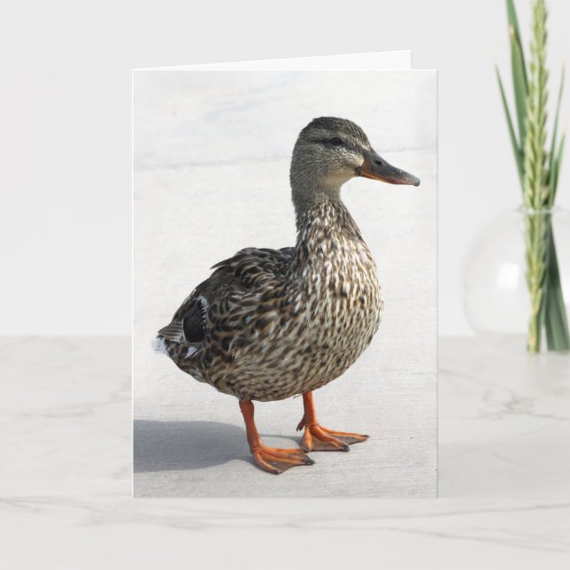 Little Duck Card (Front)