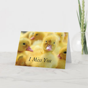 Little Ducks Card