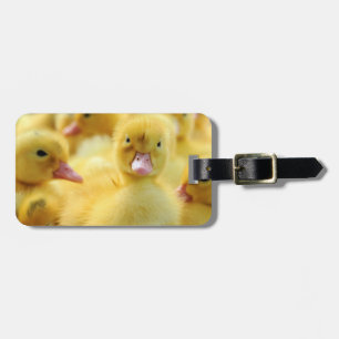 Little Ducks Luggage Tag