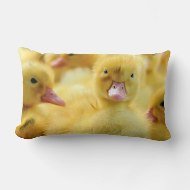 Little Ducks Lumbar Cushion (Front)