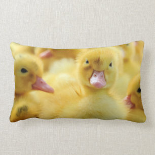 Little Ducks Lumbar Cushion