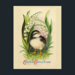Little Easter Bird Vintage Postcard<br><div class="desc">Vintage Easter postcard showing a Little Bird with white and black colouring,  like a finch or mountain chick-a-dee,  surrounded by leaves and flowers.</div>