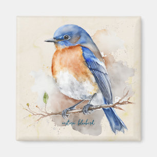 Little Eastern Bluebird Watercolor Magnet