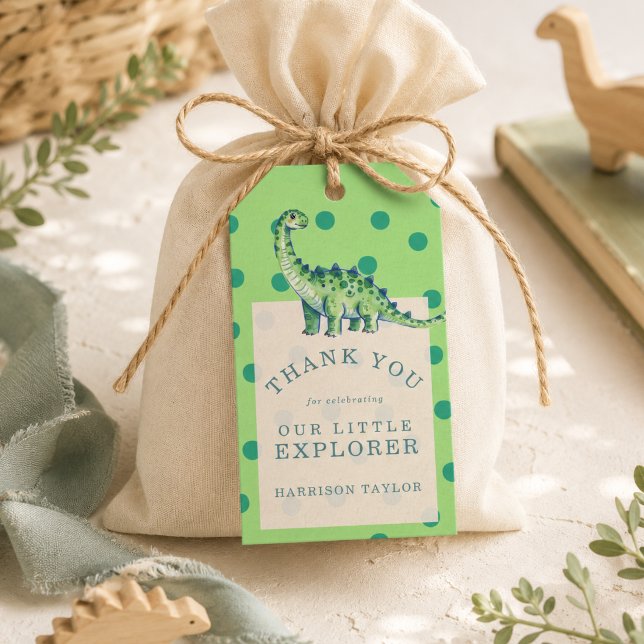 Little Explorer Dinosaur First Birthday Favour Tag (Little Explorer Dinosaur First Birthday Favor Tags)