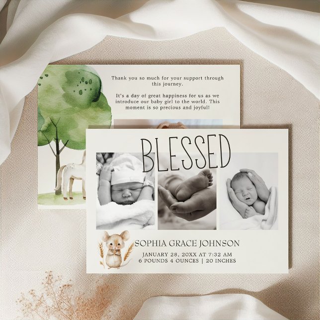 Little Farm Nursery Animals Baby Announcement (Creator Uploaded)