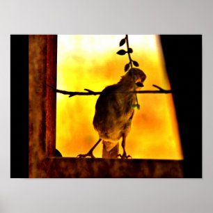 Little Finch Poster
