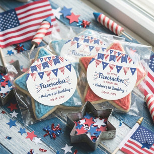 Little Firecracker 4th Of July 1st Birthday Classic Round Sticker
