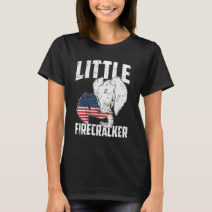 Little Firecracker 4th Of July Toddler Kids Youth T-Shirt
