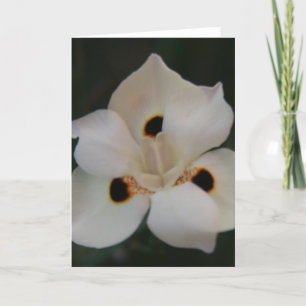 little flower petals thank you card
