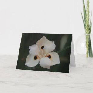 little flower thank you card
