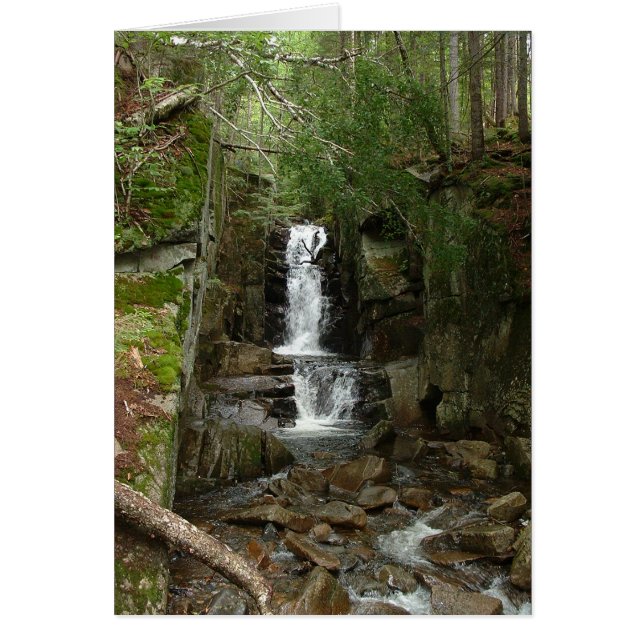 Little Flume Card (Front)