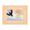 Little Fly Haiku Art Collectable Postcard