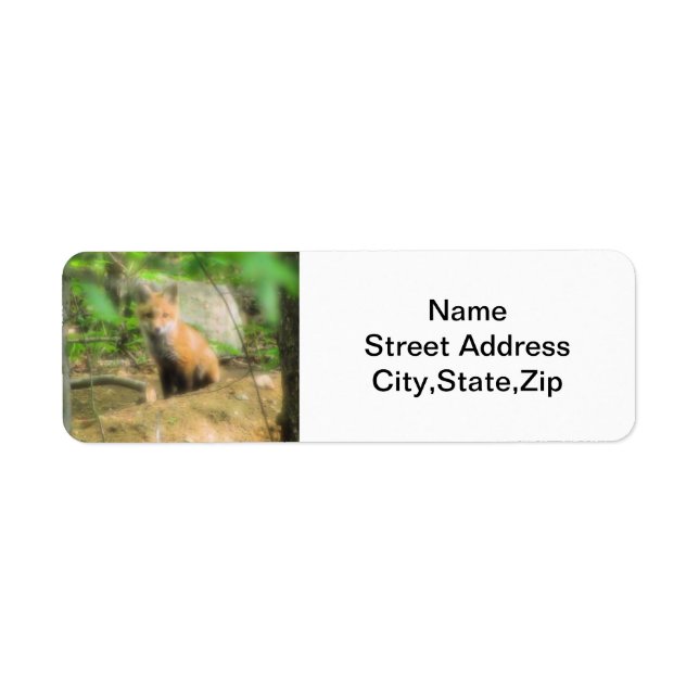 Little fox return address label (Front)