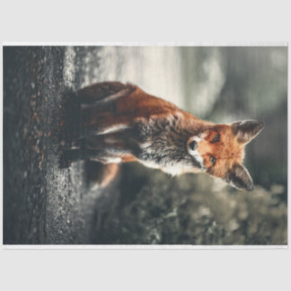 Little fox tissue paper