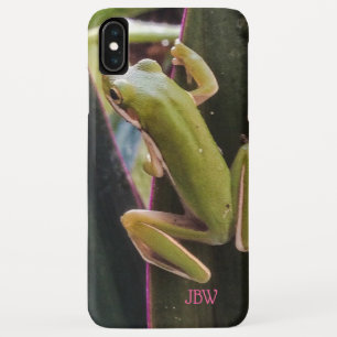 Little Frog in the Garden iPhone XS Max Case
