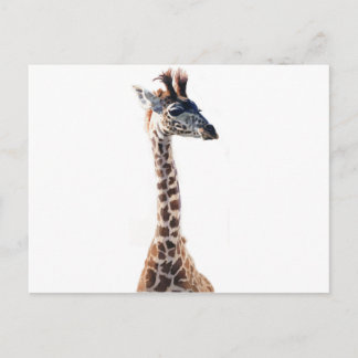 "Little Giraffe" Wildlife Animal Watercolor Postcard