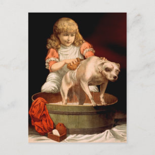 Little Girl Bathing Her Dog Postcard