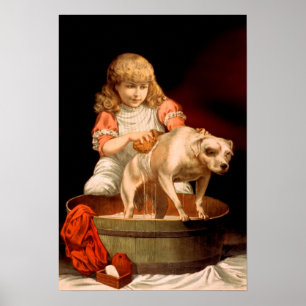 Little Girl Bathing Her Dog Poster