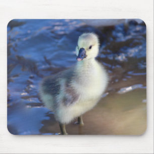 Little Gosling Mousepad